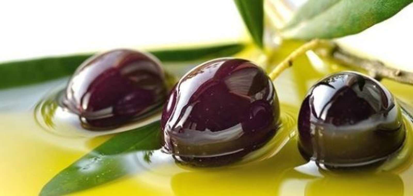 بترا :اتحاد المزارعين" يدعو لشراء زيت الزيتون من مصادر موثوقة ويحذر من الغش
